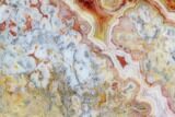 Polished, Crazy Lace Agate Slab - Western Australia #96247-1